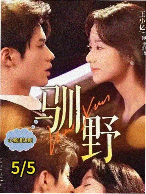南风知我意 治愈系剧集剧照